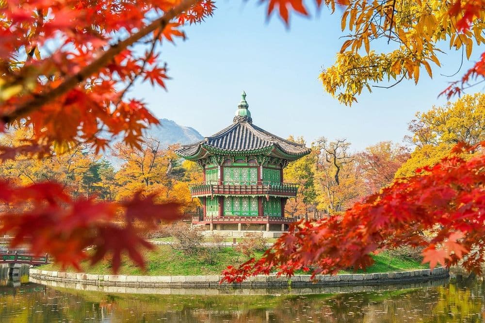 Photo by huong nguyen